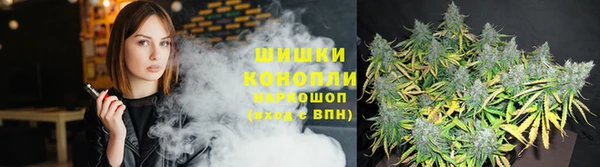 соль ск Протвино