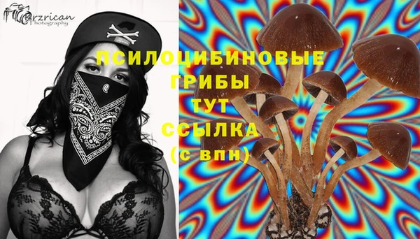 apvp Пролетарск