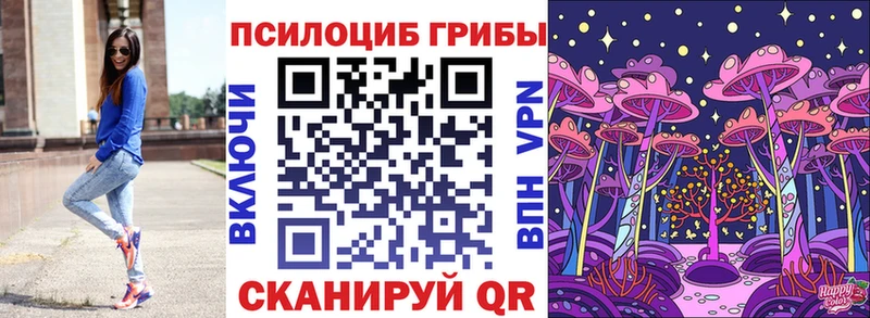 Галлюциногенные грибы Psilocybe хочу Поворино